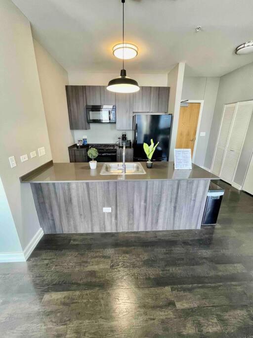 Penthouse In South Loop Chicagoアパートメント エクステリア 写真