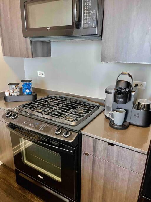 Penthouse In South Loop Chicagoアパートメント エクステリア 写真